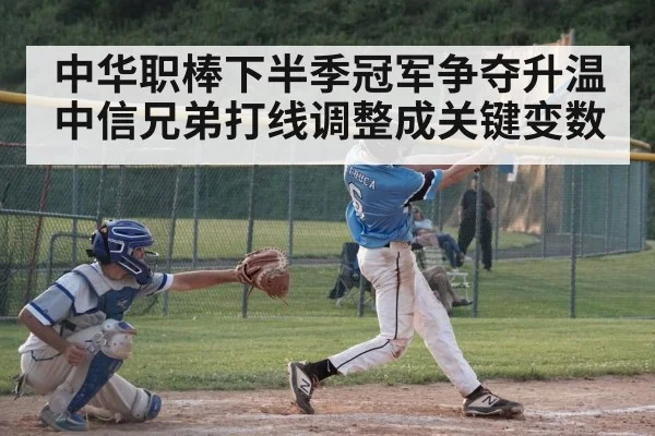 baseball batter hitting（Leyu）