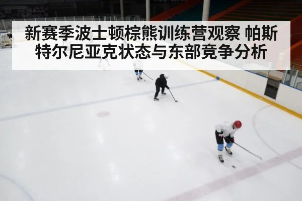 ice hockey training camp（Leyu）